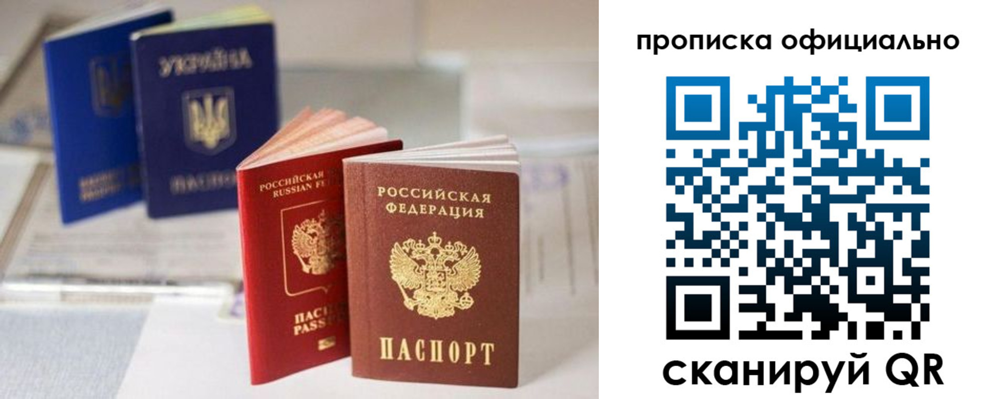 прописка поиск в Луге